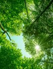 Going-Green-Climate-Action-Framework-v-3_Page_01_Image_0001.jpg Going-Green-Climate-Action-Framework-v-3_Page_01_Image_0001.jpg
